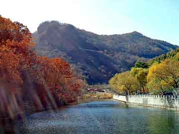 新澳天天开奖资料大全旅游团，神葫